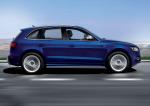 Audi SQ5 TDI 2013 года (WW)